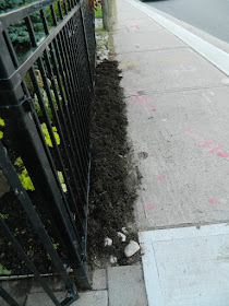 The Beach Front Garden Weeding After by Paul Jung Gardening Services--a Toronto Gardening Company