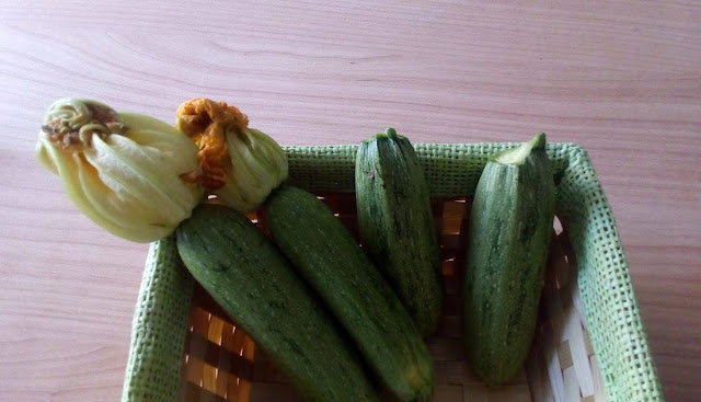 zucchine