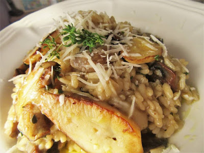 Savršeni rižoto od vrganja  / Perfect risotto with boletus mushrooms