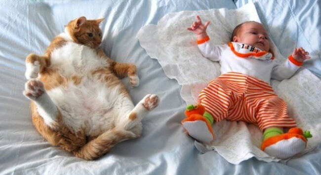 25 Thrilling Images That Made Our Day - That's what happens when a baby and a cat learn the same dance moves!