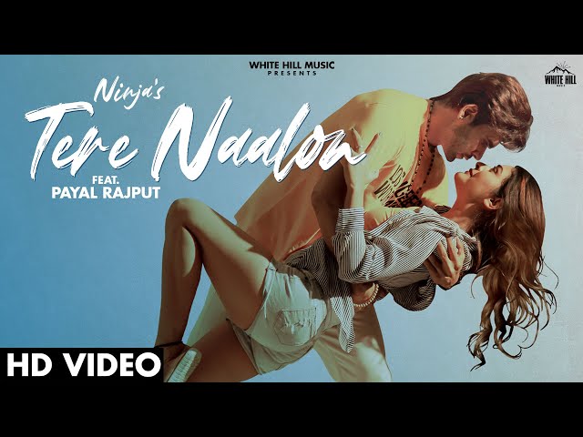 Tere Naalon Song Lyrics (Ninja)