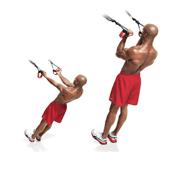 trx biceps curl