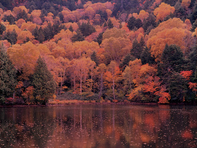 Lake in the Afternoon