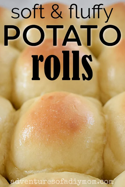mashed potato rolls recipe