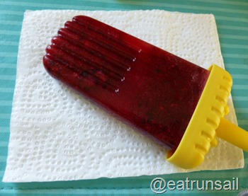 June 11 Paleo Pops 003