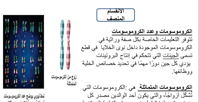 حل درس ارتباط الجينات وتعدد المجموعات الكروموسومية أحياء صف تاسع متقدم