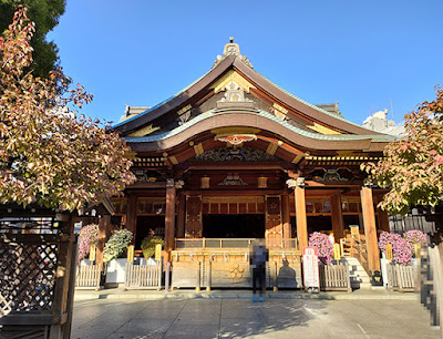 湯島天神 菊まつり