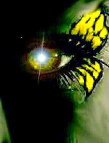 Links To This Post Spirit Rescue International News And Updates
