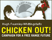 Chicken Out! Campaign Sign-up