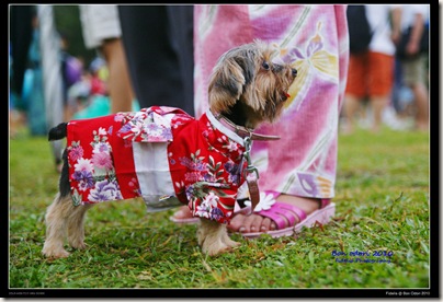 bon odori3