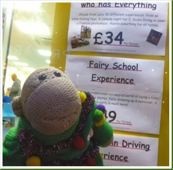 Fairy Experience
