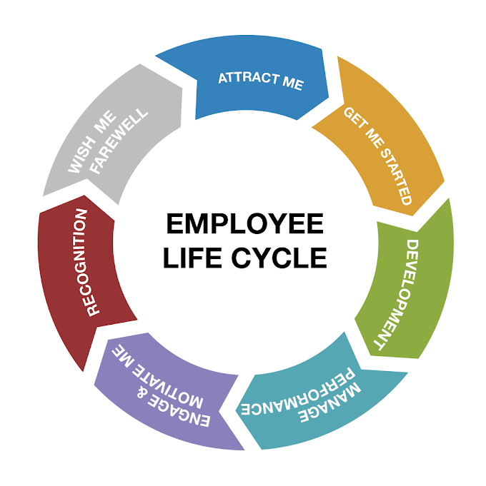 Human Resource Life Cycle