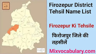 Firozepur tehsil suchi