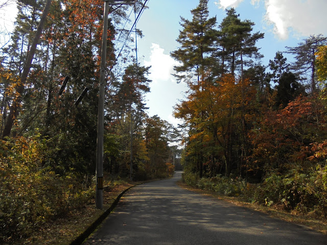 別荘地の紅葉