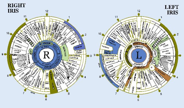 Nlp Eye Chart. use the charts to help