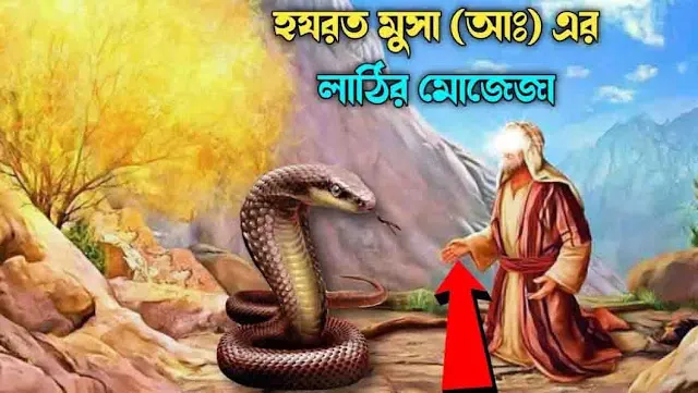 হযরত মূসা (আঃ) এর মোজেজা ও ঈসা আঃ জীবনী-Biography of Hazrat Musa (A.S.) Mojaja and Isa (A.S.)