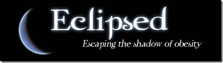 Eclipsed blog header