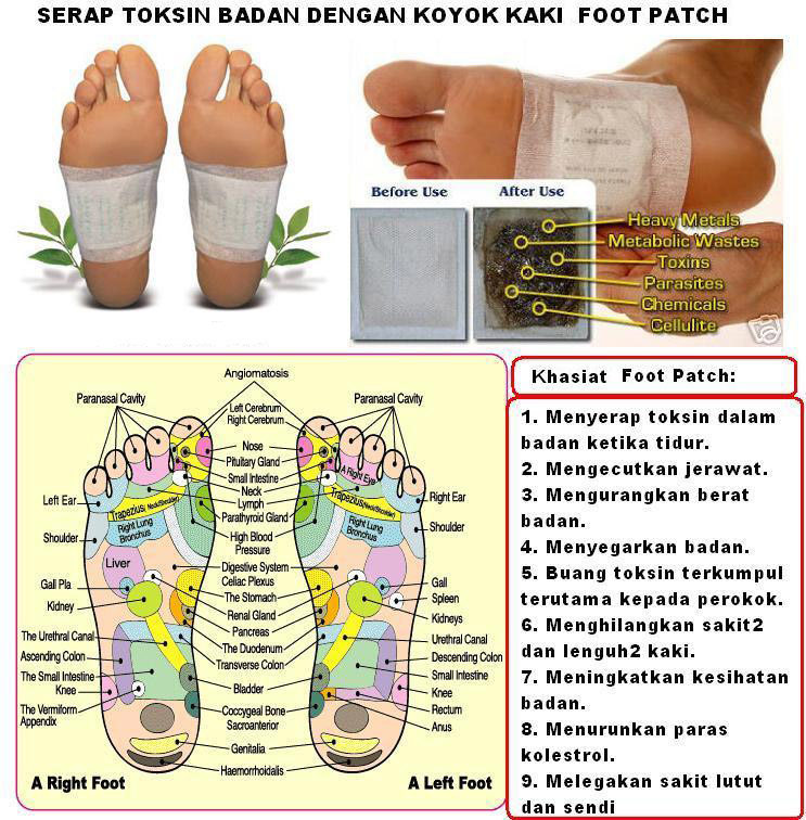 Eiffyzaku: Detox Foot Patch- Cara Mudah Buang Toksin Dalam ...