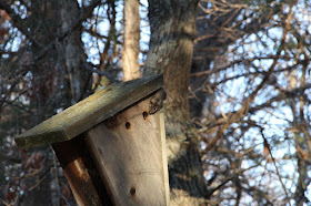 it's bad enough to have mice nesting in the bird houses