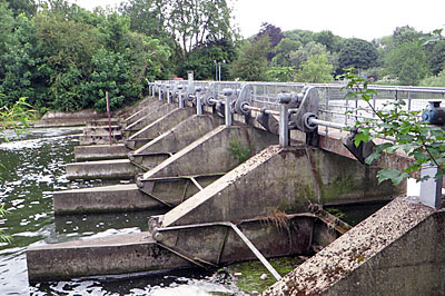 the crash location, beneath the bridge, east of St John's