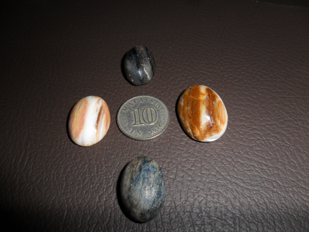 gambar b kod f02 fosil kayu jadi batu pelbagai jenis warna dan saiz 
