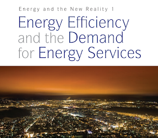 Energy Efficiency and the Demand for Energy Services