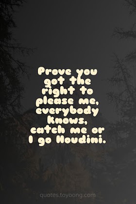 Dua Lipa - Houdini: Prove you got the right to please me, everybody knows, catch me or I go Houdini | Song Quotes