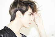 Kris 크리스 (kris )