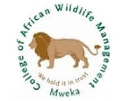 New Job Opportunity At The College of African Wildlife Management, Mweka
