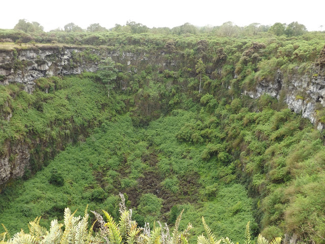 Los Gemelos, Isla Santa Cruz, Islas Galápagos