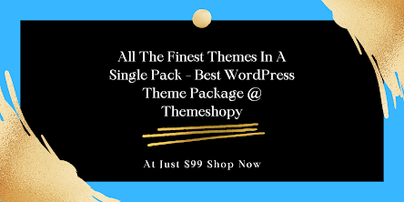 WordPress Theme Bundle