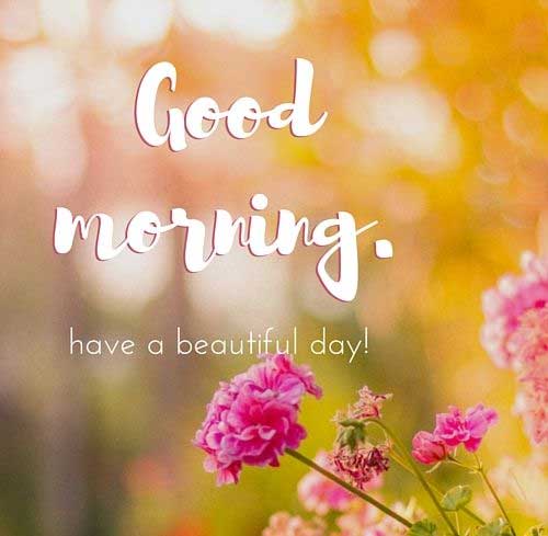 70+ Good Morning SMS, Wishes, Quotes And Gif Images HD Download