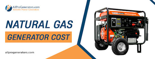 Natural gas generator costs