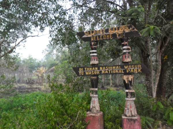 Wisata Alam Taman Nasional Wasur Merauke