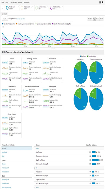 Google Analytics Segmentierung