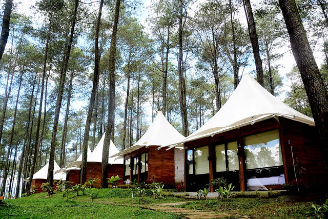 Tempat Camping Terpopuler di Cikole Lembang Bandung - Paket Camping Murah