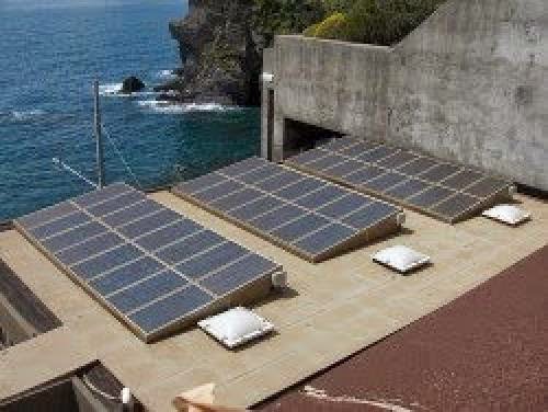 Solar Panels Lure Insects To Their Death