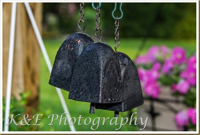 AUGUST 2014 (34 of 42)
