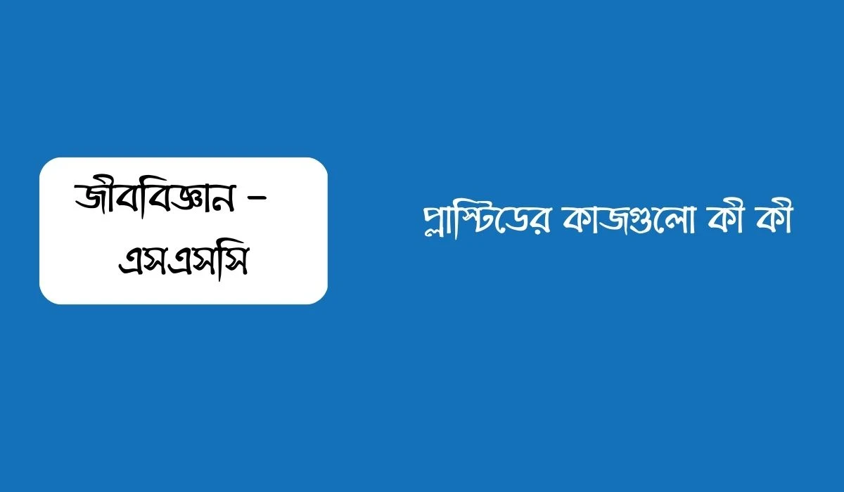 প্লাস্টিডের কাজগুলো কী কী