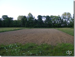 The bean field