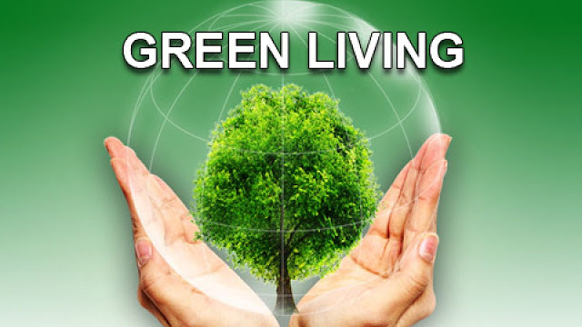 Green Living Article