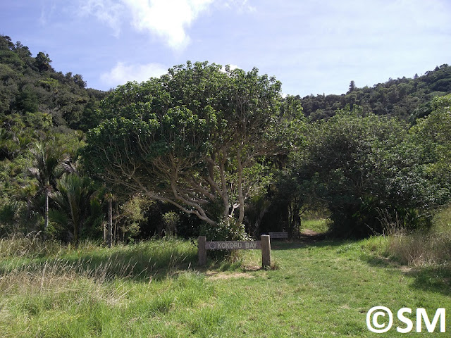 Photo  Wenderholm Regional Park Auckland Nouvelle-Zélande