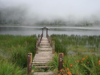 Cerita Misteri Wisata Danau Taman Hidup Di Gunung Argopuro Probolinggo Jawa Timur