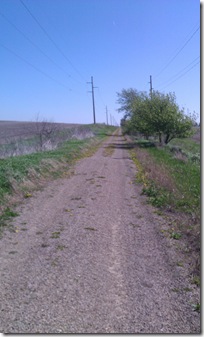 IMAG0266