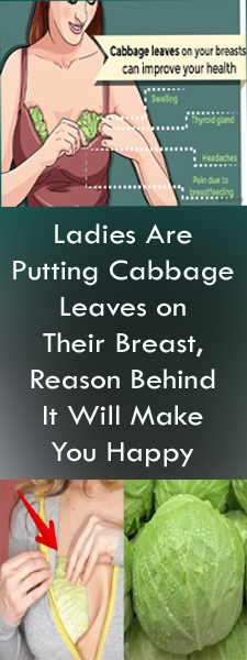 Ladies Are Putting Cabbage Leaves on Their Breast, Reason Behind It Will Make You Happy #HealthRemedies