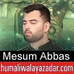 https://www.humaliwalayazadar.com/2012/11/mesum-abbas-nohay-2001-2013.html