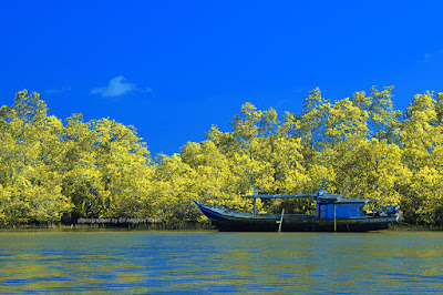 Kapal nelayan bersandar di kawasan konservasi mangrove Batu Karas.