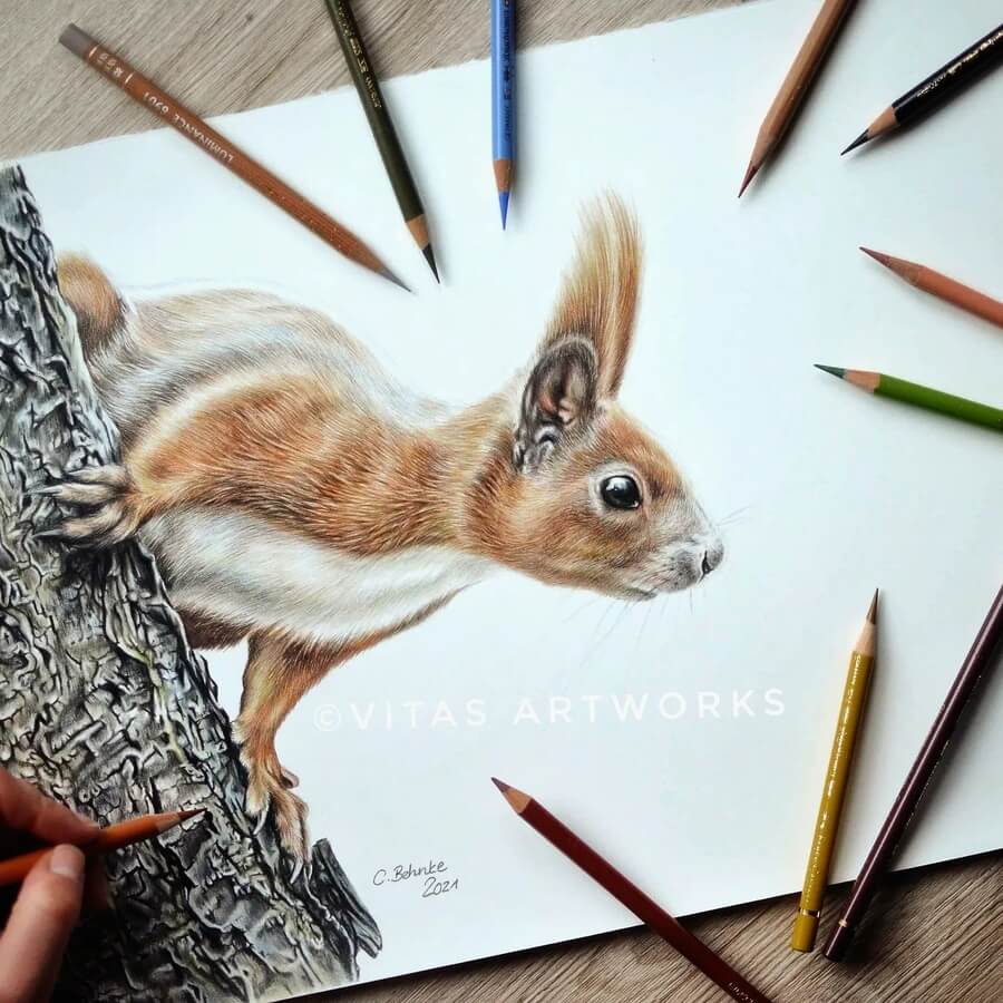 01-Red-squirrel-Animal-Art-Von-Carolin-Behnke-www-designstack-co