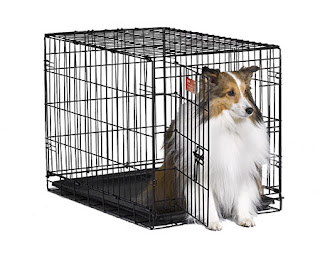 dog cage for the home