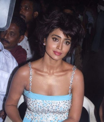 actress sherya pics, actress shreya gallery, actress sherya stills images, kandaswamy shriya, 